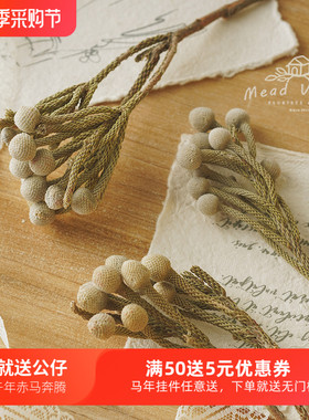 进口珊瑚果灰足球永生花diy材料包灰色系天然干花插花摄影道具