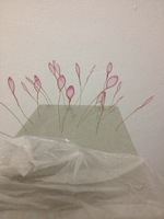 插花絲網(wǎng)花水晶花飾品