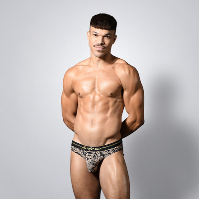 ANDREWCHRISTIAN男士三角内裤