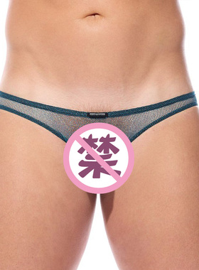 GREGG HOMME 性感网眼透视男士三角内裤低腰立体囊袋透气 210003