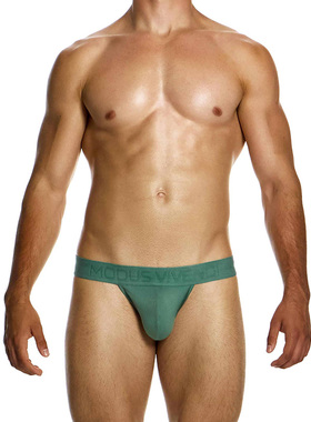 Modus Vivendi 性感男士三角内裤运动高叉立体U凸大囊袋透气13413