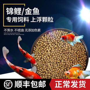 鱼食金鱼锦鲤专用鱼饲料观赏鱼增肥增色家用小颗粒上浮不浑水鱼粮