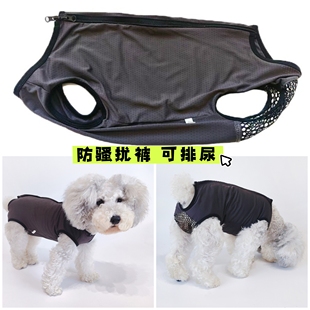 狗狗比熊母狗宠物安全卫生裤月经生理期姨妈裤防骚扰薄款连体衣服