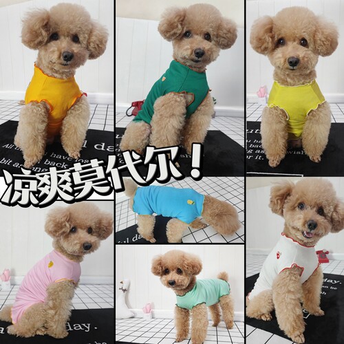 泰旺狗莫代尔薄凉爽包护肚子背心