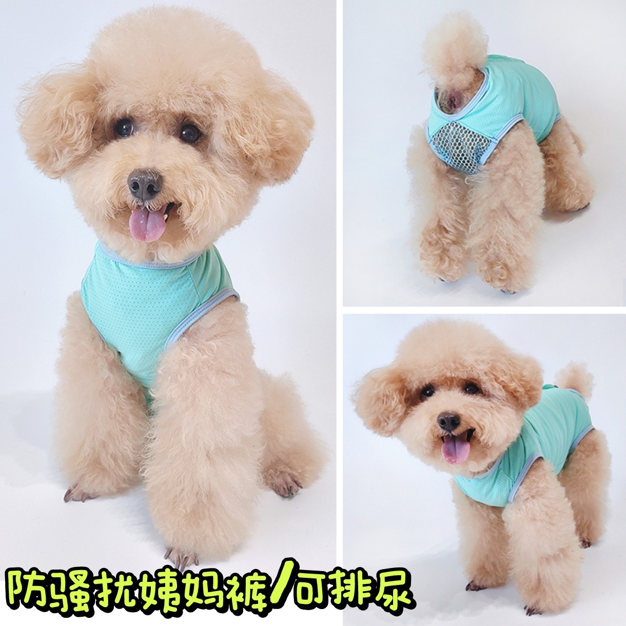 泰旺生理裤月经裤姨妈裤防骚扰