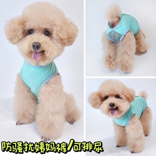 比熊犬狗狗宠物安全裤泰迪母狗生理裤防骚扰背部拉链月经期姨妈裤