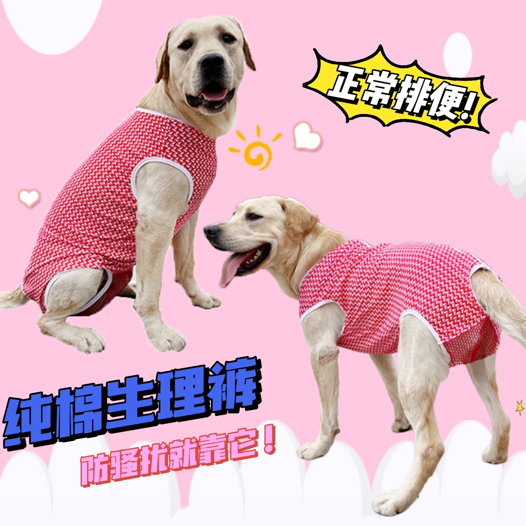 大中型犬金毛拉拉狗狗卫生安全裤母狗姨妈生理裤月经期防骚扰避孕