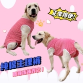 大中型犬金毛拉拉狗狗卫生安全裤 母狗姨妈生理裤 月经期防骚扰避孕
