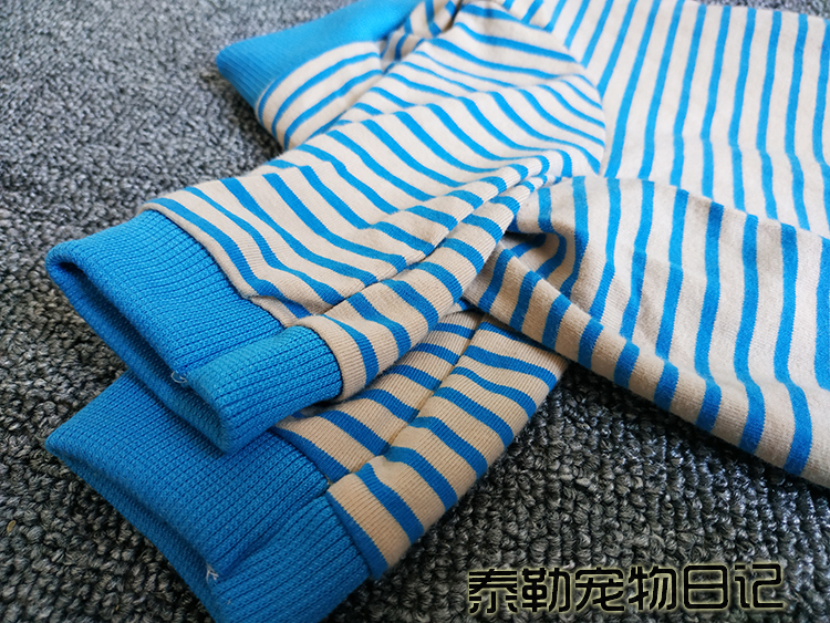 泰迪比熊母狗狗衣服高领包肚子长腿四脚衣条纹绝育服断奶服防尘服