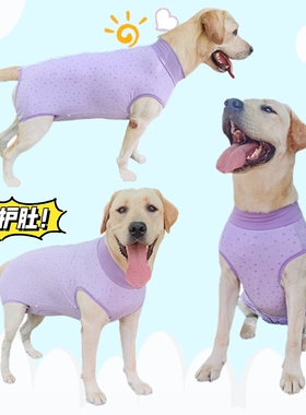 大狗狗中型犬全包护肚子防掉毛纯棉弹力高领背心紫色T恤背部拉链