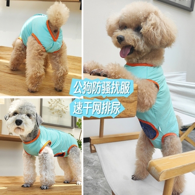 泰旺公狗狗防骚扰衣服生理裤背心