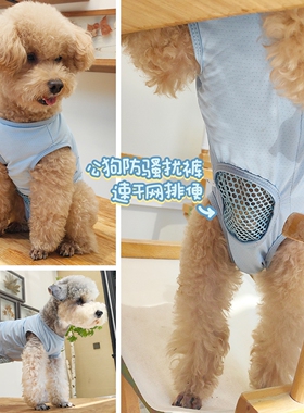 小型犬公狗狗防骚扰衣服公狗生理裤卫生裤公狗包JJ避孕背心夏薄款