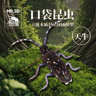 MR.3D口袋昆虫天牛拼插模型3D立体拼图益智玩具摆件生日礼物潮玩