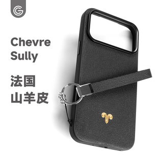 GWW法国山羊皮适用于苹果17promax手机壳真皮iphone17简约磁吸防摔保护壳air原创铜饰高端新款