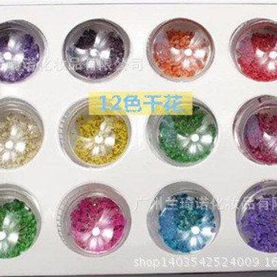 天然美甲12光疗指甲油甲色胶DIY