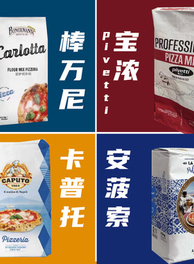 进口高蛋白披萨粉00粉