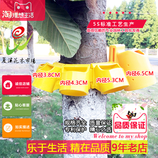 树木支撑架固定器套杯绑带树木防风防倒支撑架木树支架支撑固定器
