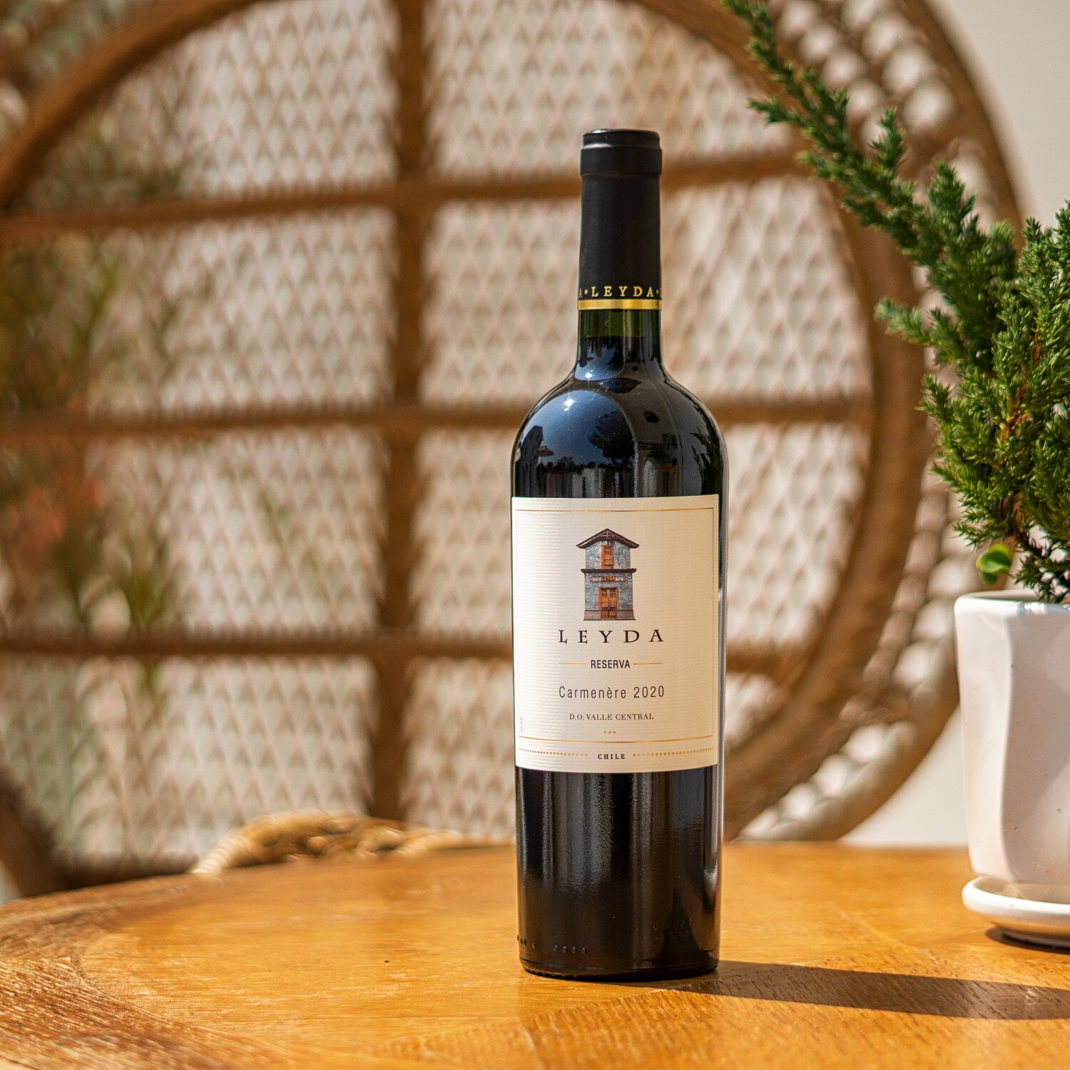 智利leyda佳美娜葡萄酒中央山谷原瓶进口红酒