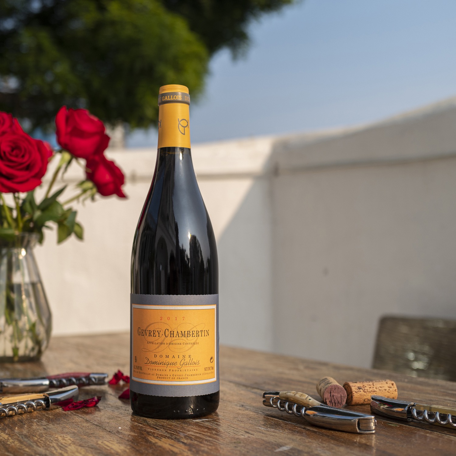 行货带票!法国勃艮第Gevrey Chambertin AOC黑皮诺干红葡萄酒2017