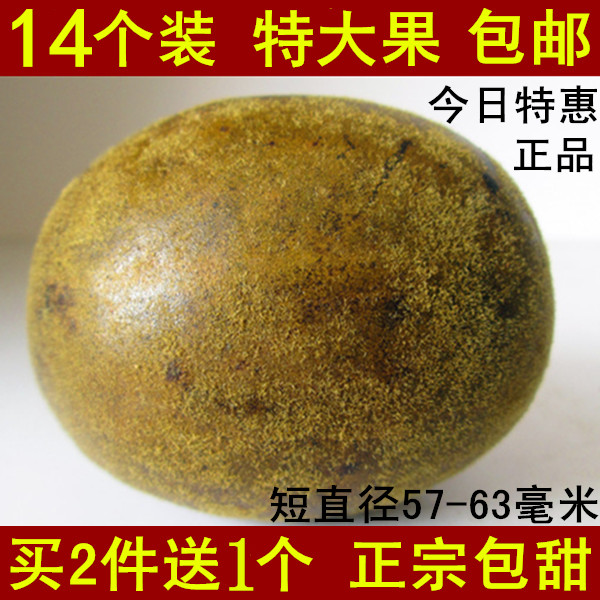 正宗罗汉果 特大果14个装 广西特产 桂林永福 罗汉果 正品