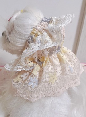 Vina手作 原创设计 狗狗吃饭护毛头套马尔济斯约克夏西施比熊泰迪