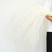 龙须草永生花梦幻草长毛草芦荀草婚庆道具厂家直销龙须草粉色白色
