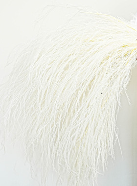 龙须草永生花梦幻草长毛草芦荀草婚庆道具厂家直销龙须草粉色白色