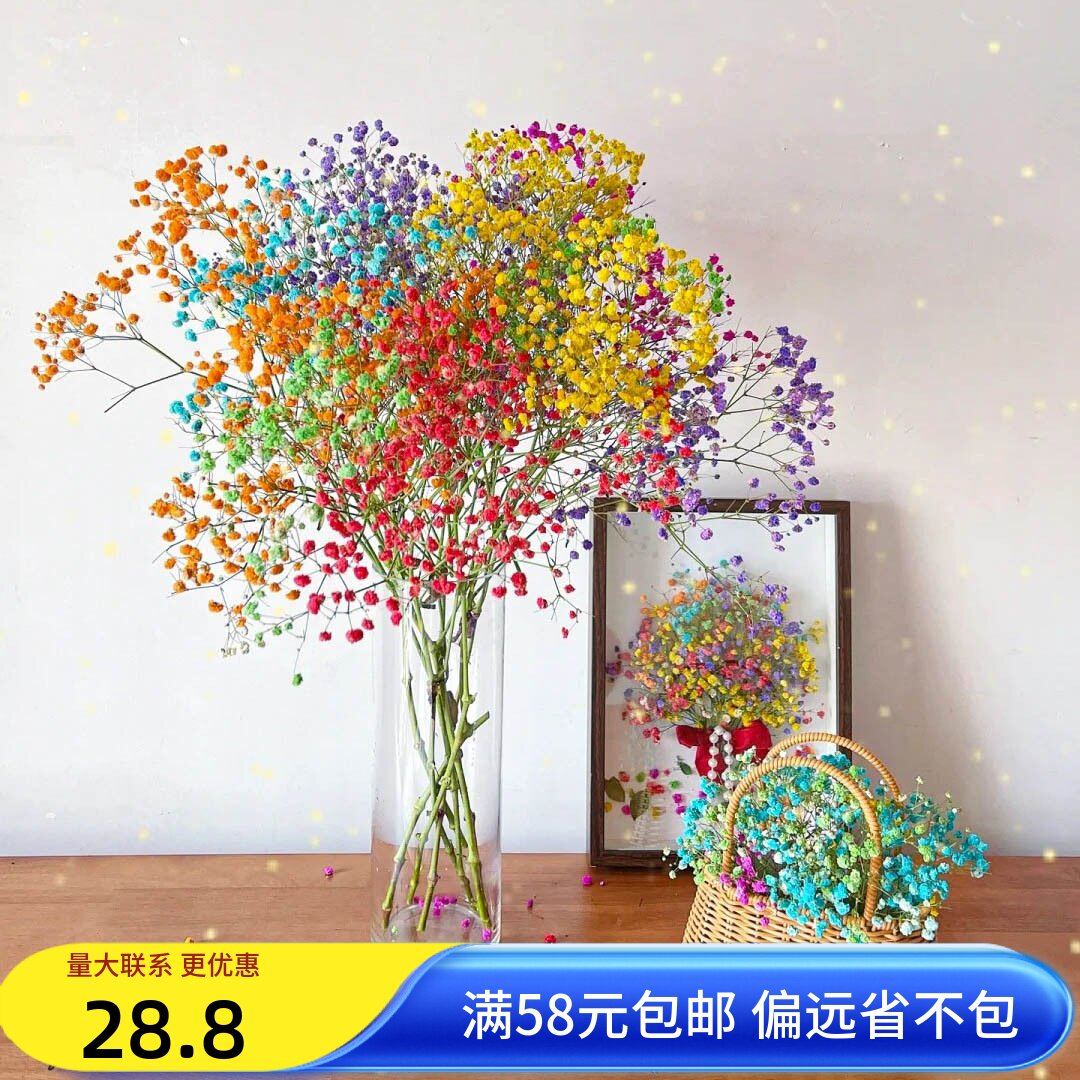 论斤卖满天星干花diy云楠花汇