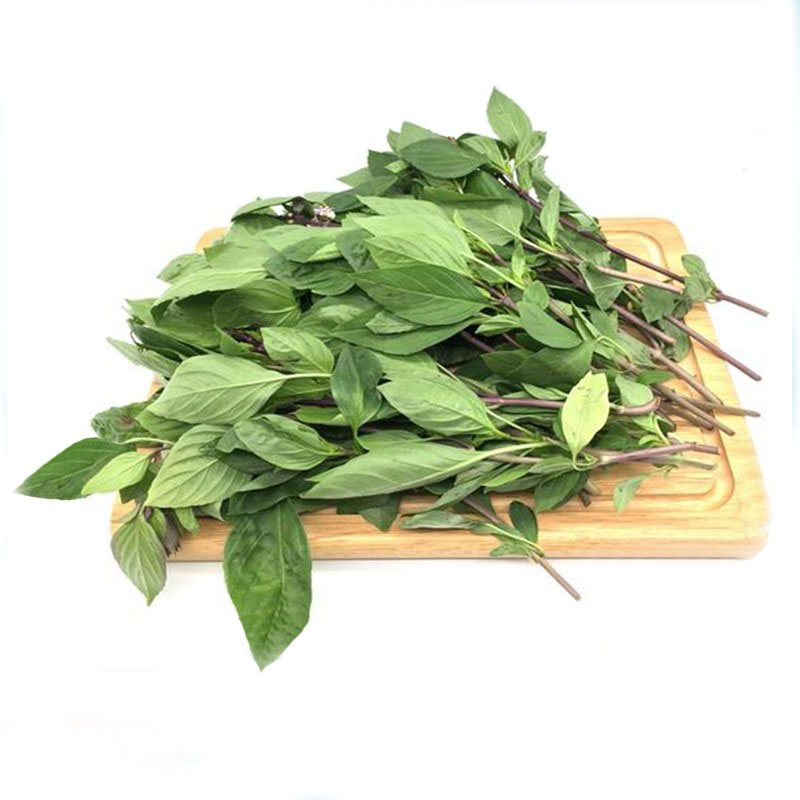 新鲜九层塔金不换泰式罗勒叶三杯鸡冬阴功香料thai basil500g一份