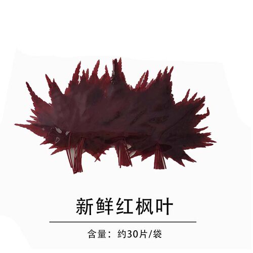 红枫叶 真空包装30片/袋 西餐日料摆盘装饰枫树叶