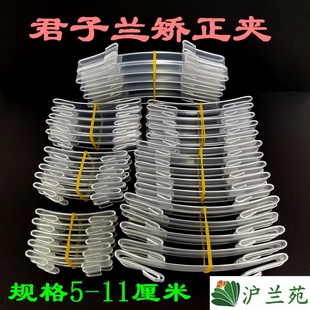 君子兰叶片矫正线矫正器整形夹矫正夹纠正器透明扶正带固定夹