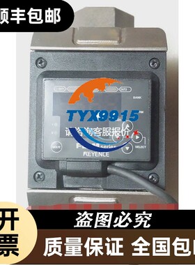 基恩士KEYENCE 流量传感器 FD-M100T