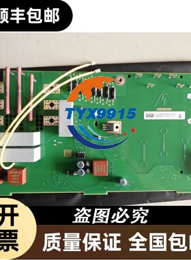 C98043-A7004-L1 励磁板