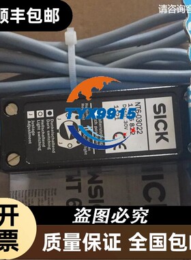 1005822 NT6-03022 西克SICK