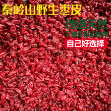 枣皮秦岭深山野生山茱萸无核烘干枣皮肉汉中特产精品枣皮500克装