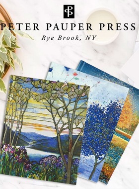 美国Peter Pauper Press复古精装B5笔记本精美手账送礼物日记事本