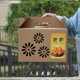 白玉枇杷礼品盒空盒现货批发水果纸箱定制 10斤装 枇杷礼盒包装 盒2