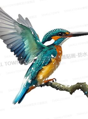 翠鸟贴画动图图案小鸟自粘贴车身遮挡划痕贴墙门贴宠物店立体装饰