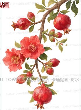 唯美ins风清新石榴花石榴果枝条