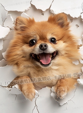 狗狗贴画可爱博美犬3D立体效果破墙而出宠物店装饰贴墙贴门贴自粘