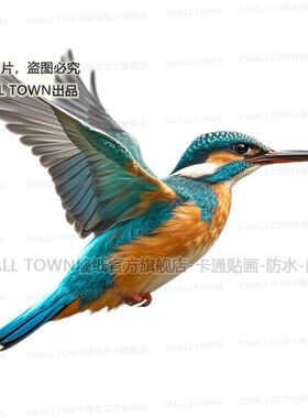 翠鸟图案贴画遮丑网红墙贴