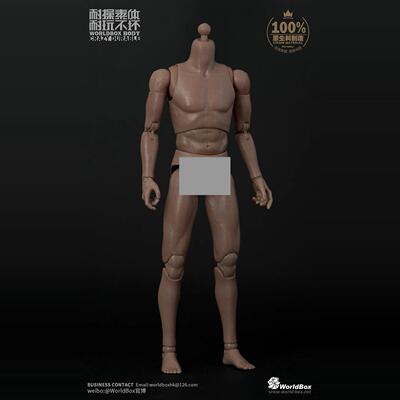 AT011WorldBox回馈版