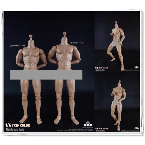 COOMODEL BD009 和 BD010 1/6 肌肉体型男素体 两款 现货