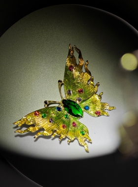 【焰火中的蝴蝶】彩色水晶 珐琅彩 油画感金色蝴蝶胸针 胸花