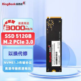 KP230 512G 金百达 kingbank