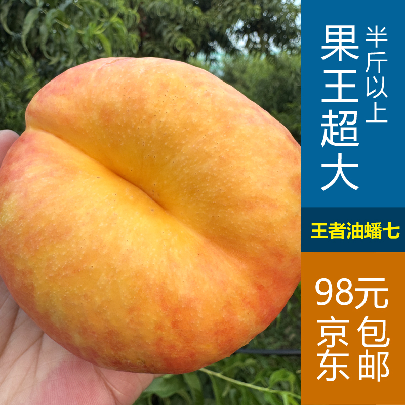 油蟠桃新鲜水果油蟠7号现摘现发驻马店油蟠七果王 巨无霸 王中王