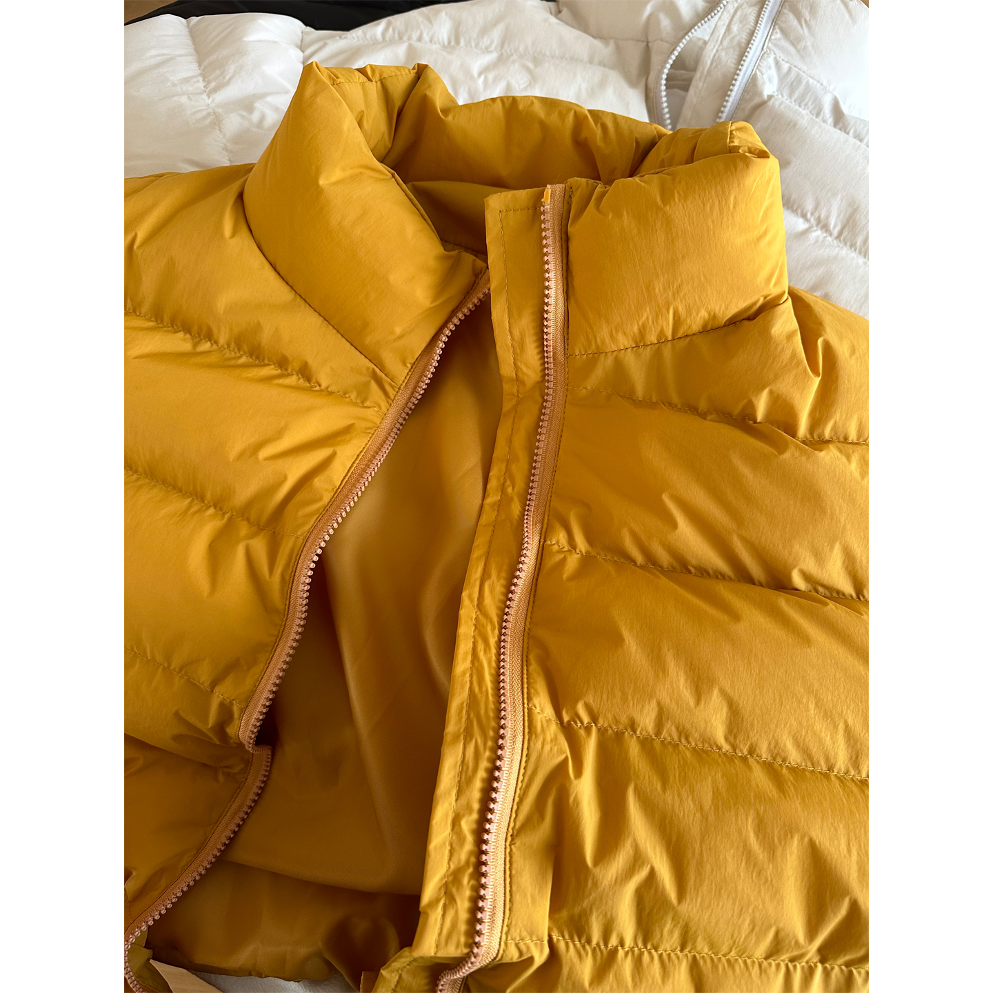 轻薄立领高级感排骨棉衣外套秋冬