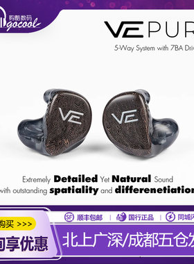 VisionEarsVEPURE耳机