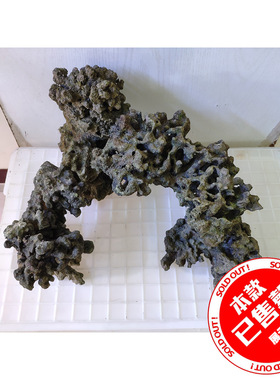 海水造景 海缸珊瑚死石 造景 矮缸造景 适合45以上 sps lps