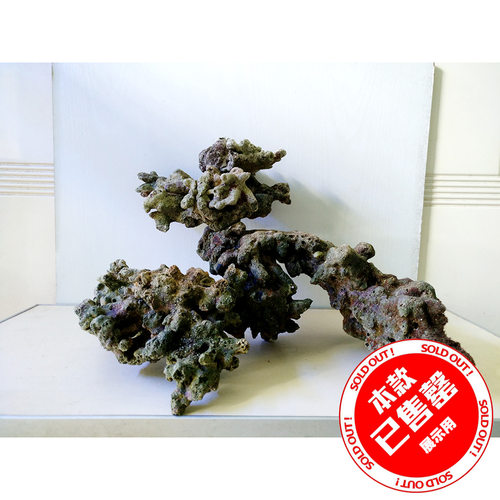海水 海缸珊瑚死石造景 微缸矮缸造景 40缸以上 简单清爽小缸造景